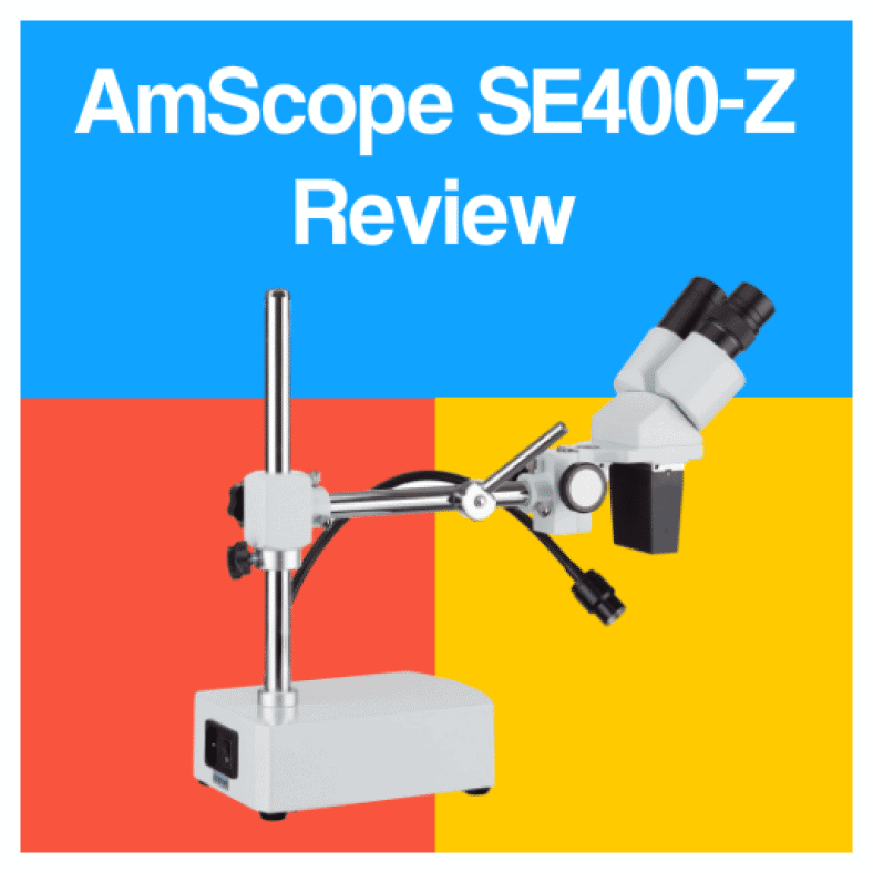 Best 9 Amscope Microscopes Reviewed for 2023