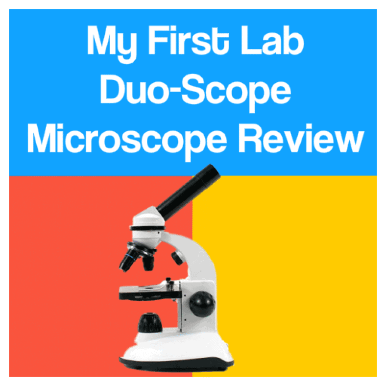 My First Lab