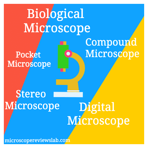 Types of Microscopes and Their Applications [2025 Update]