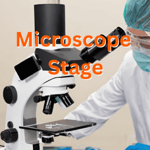 Microscope Stage