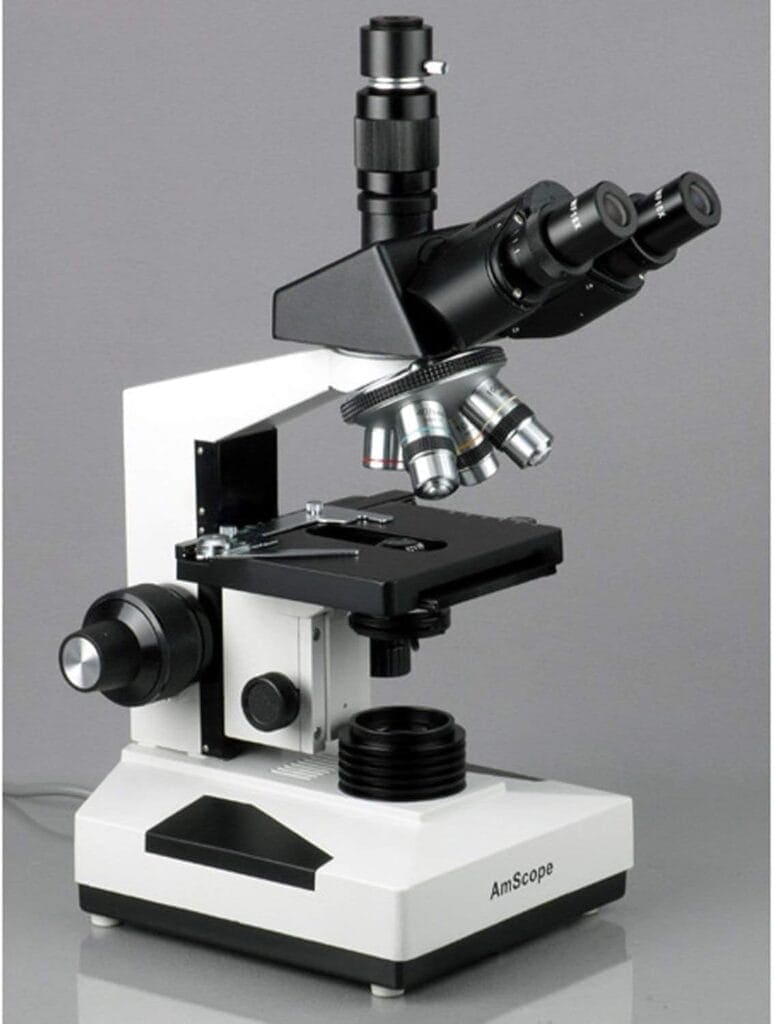 Buying Guide: Best Microscope for Hobbyist