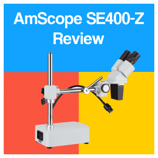 AmScope SE400Z Binocular Stereo Microscope Review [2023 Edition]