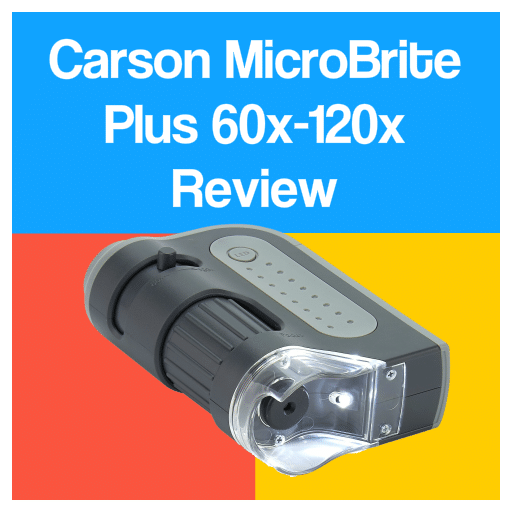 Carson MicroBrite Plus 60x120x Review