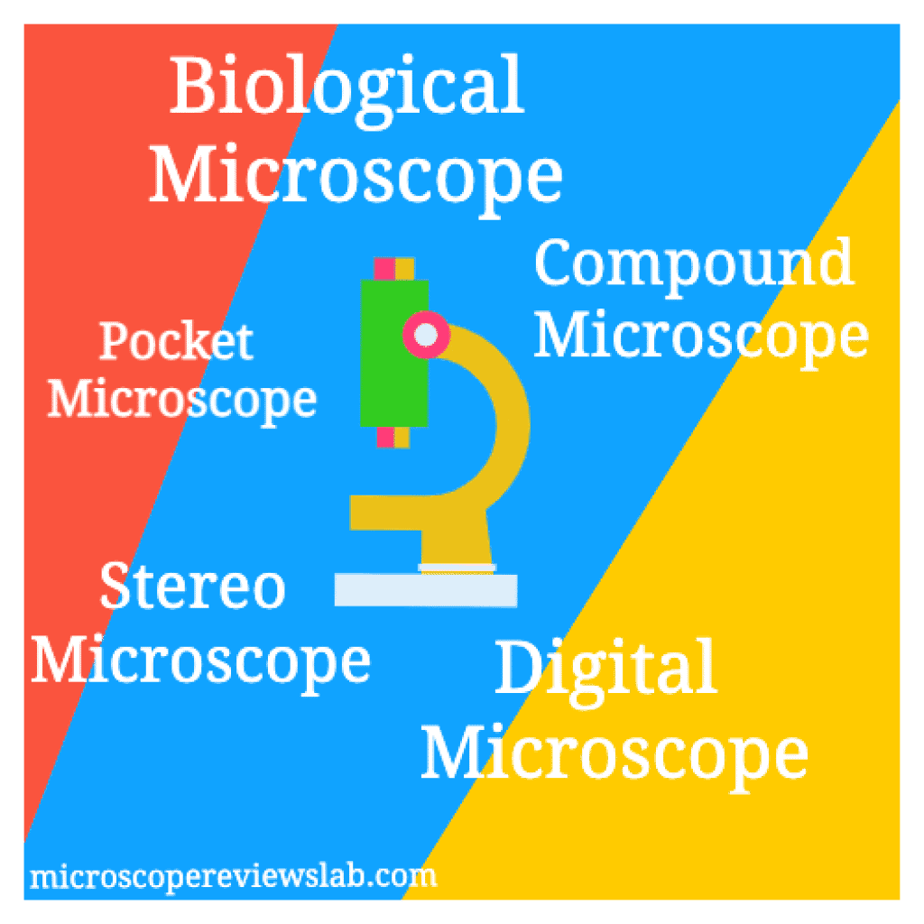 Types of Microscopes and Their Applications [2023 Update] Microscope