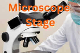 Microscope Stage