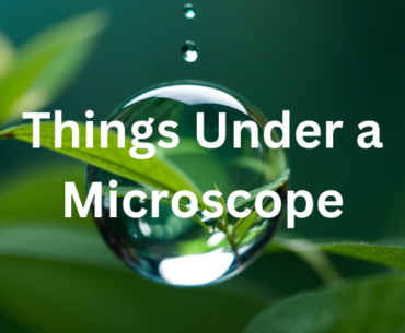 Things Under a Microscope